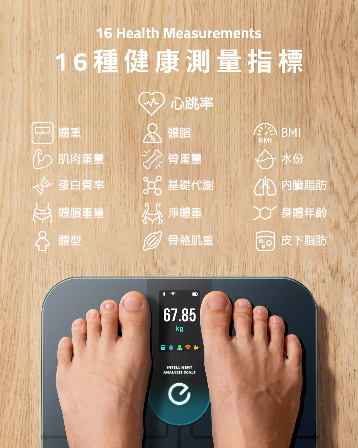 Eufy Smart Scale P3 智能體重體脂磅